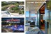 July2015Broward 27 (14)